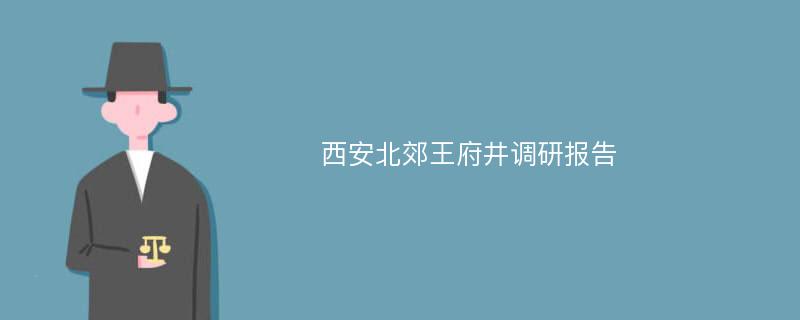 西安北郊王府井调研报告