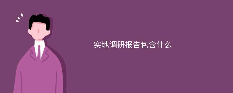 实地调研报告包含什么