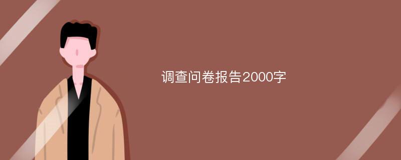 调查问卷报告2000字