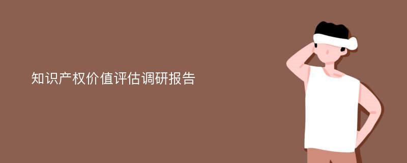 知识产权价值评估调研报告